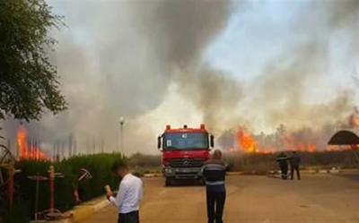 خلال العشرة أيام الأخيرة:  من 3 إلى 4 حرائق في اليوم وتسجيل 89 حريقا منذ بداية السنة إلى حدود 10 جويلية