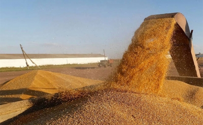 المخزون يكفي من شهرين إلى 5 أشهر: 1،8 مليون طن واردات تونس من الحبوب منذ بداية السنة