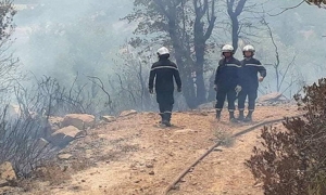 سليانة: سيطرة أولية على حريق جبل المرقب وتواصل عمليات إطفاء الجيوب