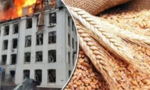 تأثير الحرب الروسية الأوكرانية على واردات الحبوب العالمية: الأمن الغذائي للدول المستوردة مهدد
