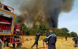 جندوبة: السيطرة على حريق نشب بوادي في بلطة بوعوان