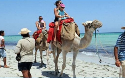 تحسن ملحوظ في مؤشرات الوجهة السياحية التونسية