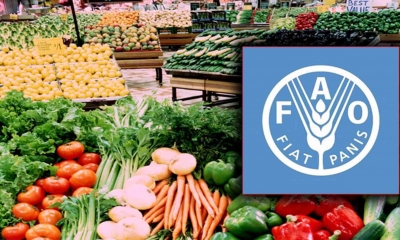 الفاو: استقرار أسعار الغذاء العالمية في مارس
