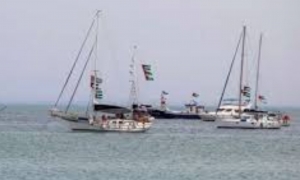 محامو نابل يرفعون قرار مقاطعة