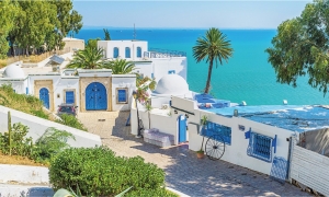 : سيدي بوسعيد بين الاعتراف العالمي وخطر الانهيار