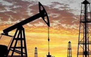عدد رخص المحروقات سارية المفعول إلى موفى أفريل 2023، لا يتجاوز 17 رخصة