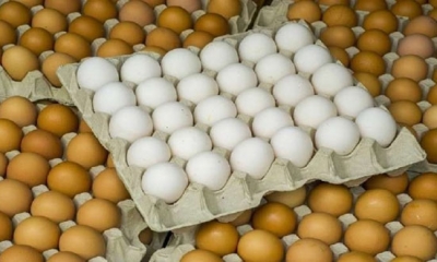 ارتفاع سعر البيضة الواحدة عند الإنتاج إلى 340 مليم ....
