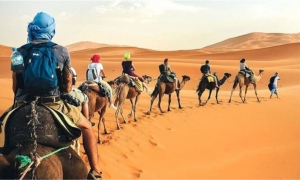 الصناعة السياحية في تونس: بين ارتفاع العائدات وتحديات الاستدامة