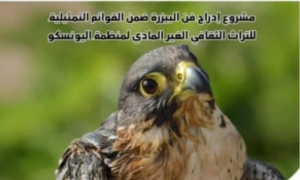 من فرحة إلى فاجعة في "مهرجان الساف بالهوارية":     "طير البُرني" طار ... والبندقية قتلت البشر!