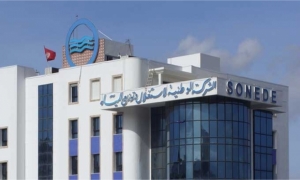 الصوناد 