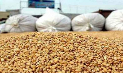 ولاية منوبة : حجز 1.2 طن من القمح من اجل مسك منتوجات قصد المضاربة