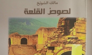 لصوص القلعة المعالم والسرقات الأثرية