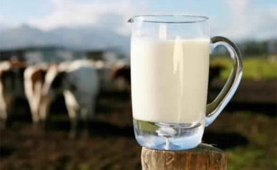 تزويد السوق بمادة الحليب خلال يومين
