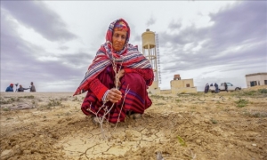 خريف 2022 الأسوأ منذ عقود والجفاف يتمددّ في تونس