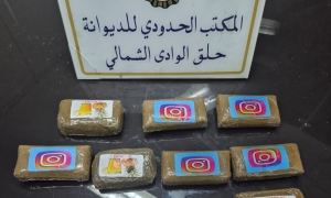 مصالح الديوانة بميناء حلق الوادي الشمالي تحبط محاولة تهريب