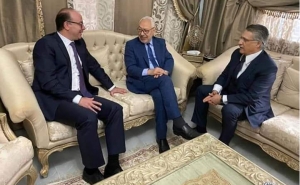 بعد لقاء الثلاثي ... اليوم القروي يلتقي الفخفاخ رسميا : قلب تونس يتسلل إلى الحكومة