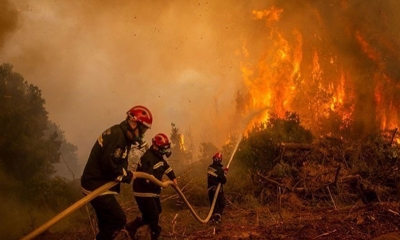 وزارة الداخلية الجزائرية: حرائق غابات تودي بحياة 15 شخصا