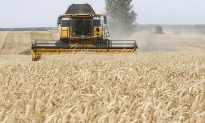 برنامج الأغذية العالمي: اتفاق تصدير الحبوب مهم جدا لإفريقيا