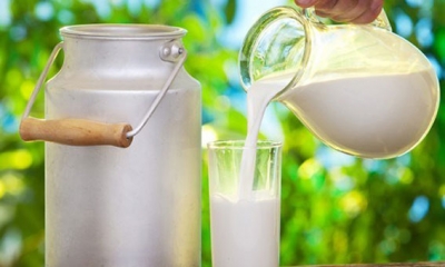 تراجع مخزون الحليب المعلب بنسبة 78 % خلال سنة 2022