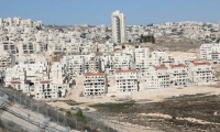 مسؤول فلسطيني يحذر: إسرائيل انتقلت إلى التنفيذ المكثف للاستيطان