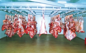 مع اقتراب شهر رمضان وفي أقل من شهرين : أسعار اللحوم الحمراء ترتفع ب5 دنانير وشركات اللحوم الخاصة تتطلع للسماح لها بالتوريد