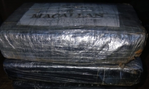 إحباط تهريب حوالي 5.5 كلغ من "الكوكايين"