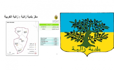 زالبة:  توفير النقل المدرسي وتطوير البنية الأساسية وتحسين الخدمات الصحية في مقدّمة مطالب الأهالي