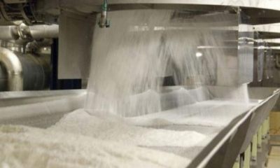 توقف إنتاج السكر بمصنع باجة