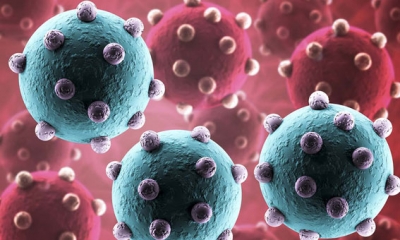 علماء الفيروسات يحذرون من فيروس "H5N1"