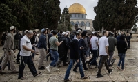 تقرير : عشرات المستعمرين يقتحمون المسجد الأقصى