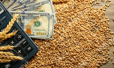 اسعار الحبوب عند التصدير تتراجع في الاسواق العالمية