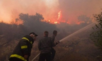 جندوبة: تقدّم هامّ في عمليات إطفاء حرائق فرنانة وعين دراهم وبلطة بوعوان