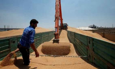 العراق يستورد ما بين 600 ألف طن ومليون طن من القمح