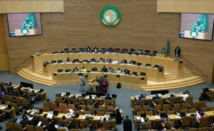 على هامش القمة الإفريقية المقرر انعقادها في فيفري الجاري: مجلس السلم والأمن الإفريقي ينظم قمة مصغرة حول ليبيا