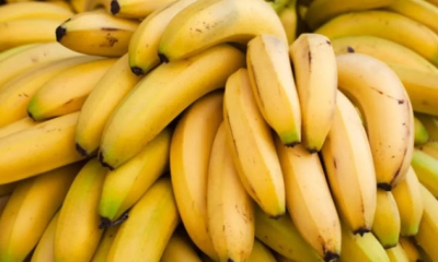 القصرين: حجز 344كلغ من الموز واعادة ضخها بنقطة بيع من المنتج للمستهلك