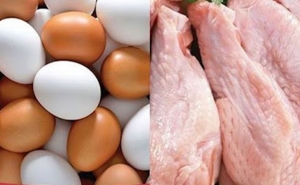 بسبب ارتفاع أسعار الأعلاف:  زيادة ثانية في أسعار بيض الاستهلاك ولحم الدجاج في أقل من شهرين 