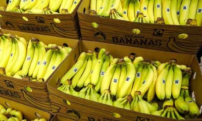 سيدي بوزيد: حجز 54.800 كغ من الموز