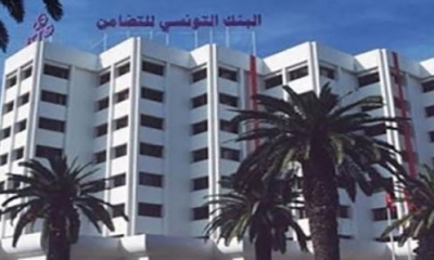 البنك التونسي للتضامن يهدف الى تمويل 100 شركة أهلية سنة 2024