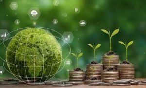 التمويل الأخضر طوق نجاة الصناعة التونسية