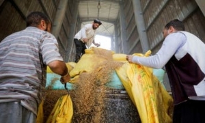 احتياطي مصر الاستراتيجي من القمح يكفي لمدة 2.3 شهر