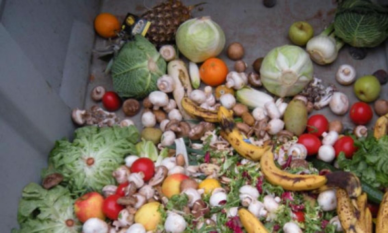 الغذاء.. واستدامة البقاء:  «الغذاء دواء» وهو صحة وضمان بقاء