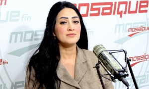إحالة المحامية اسلام حمزة على التحقيق