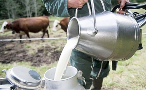 علاوة على الترفيع في منحة دعم المحروقات:  الاتفاق على الترفيع في سعر الحليب عند الإنتاج خلال اجتماع اللجنة المشتركة 5+5 بين الحكومة وإتحاد الفلاحين