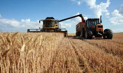 إنتاج الحبوب في تونس: توزيع الإنتاج جغرافيا غير متكافئ وإتلاف كميات هامة سنويا  والحرب تزيد من وطأة التبعية إلى التوريد