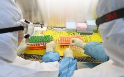 محققون أميركيون: الصين أدارت مشروعا سريا أدى لتفشي فيروس كورونا