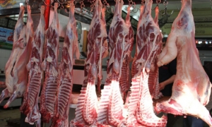 اللحوم الحمراء أبرزها منتوجات لم تعد في متناول التونسيين بسبب التضخم • 50 دينارا تكلفة يوم واحد لعائلة مكونة من 4 افراد