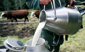 تزامننا مع فترة تقلص الإنتاج الموسمي: تقلص مبيعات الحليب بأكثر من 2 % وتدحرج الكميات المصدرة إلى 4 مليون لتر