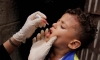 يونيسف: وصول 13 طنا من اللقاحات إلى اليمن
