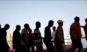 كمال الفقي: عدد المهاجرين من جنوب الصحراء الموجودون في تونس يبلغ 80 ألف