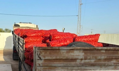 جندوبة : الكشف عن مستودع عشوائي معد لتخزين البطاطا